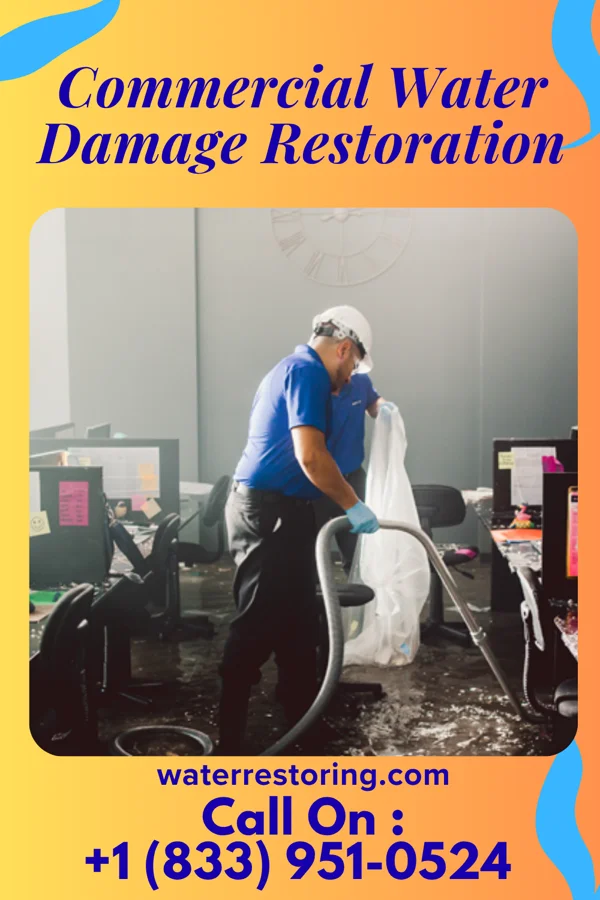 Commercial Water Damage Restoration in Jamestown, WA