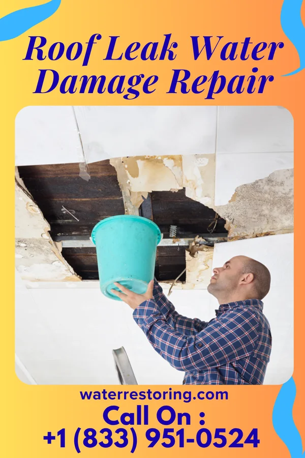 Roof Leak Water Damage Repair in Jamestown, WA